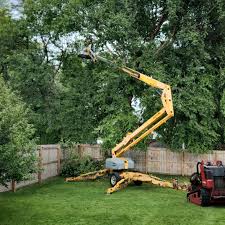 Best Palm Tree Trimming  in Fruitland, NC